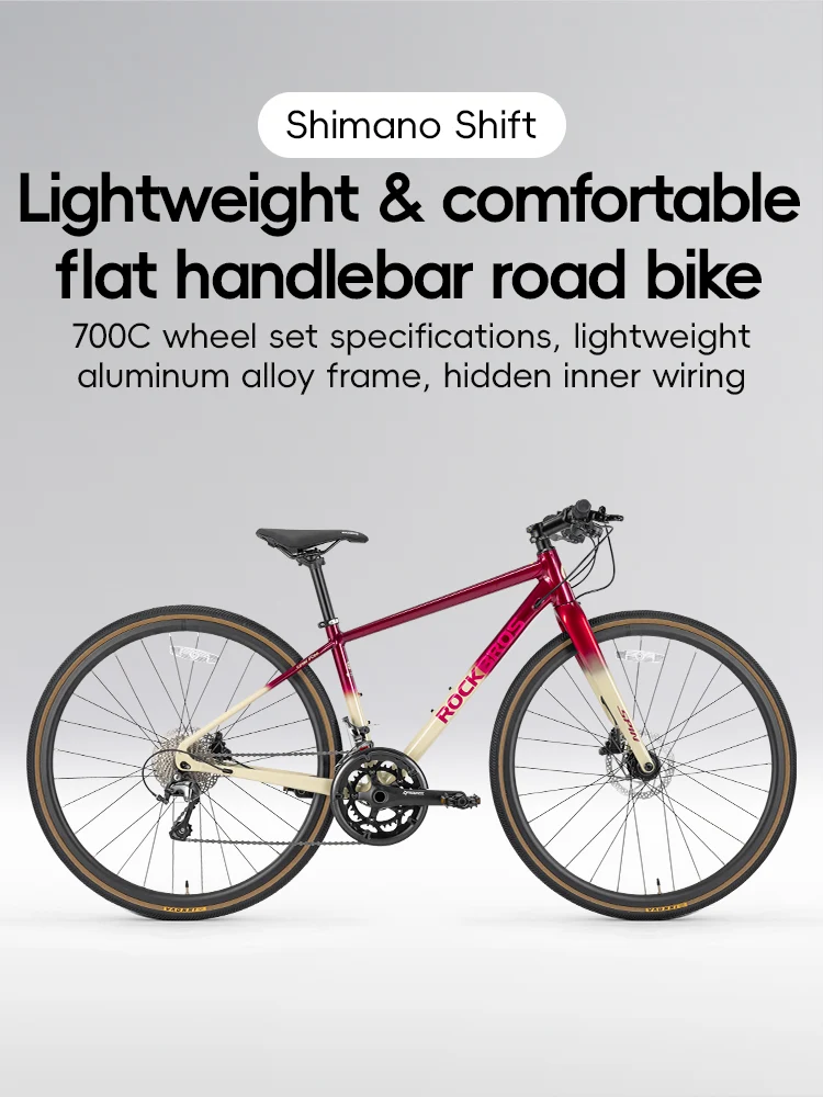 SPIN-P2M Carbon Fiber Fork Aluminum Frame Road Bike - Image 10