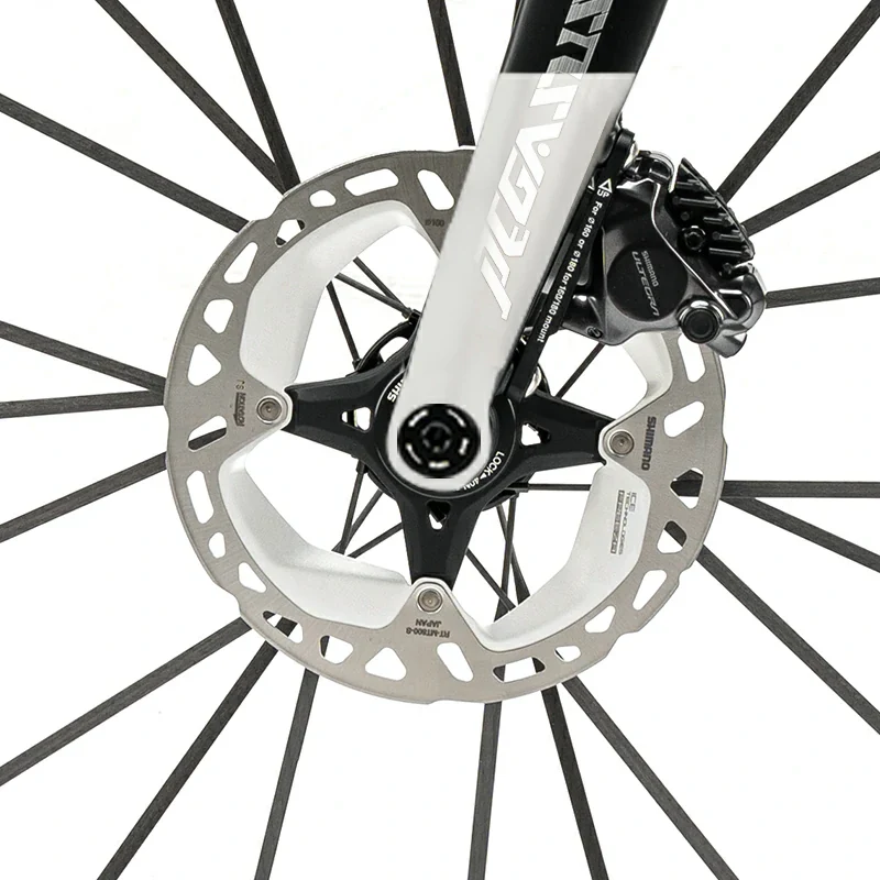 PGZ - Carbon Fiber Road Bike – Black and White - Image 5